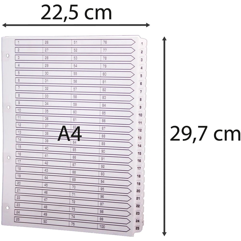 Exacompta A4 White Mylar 1-100 Divider 2 Pack Image 2