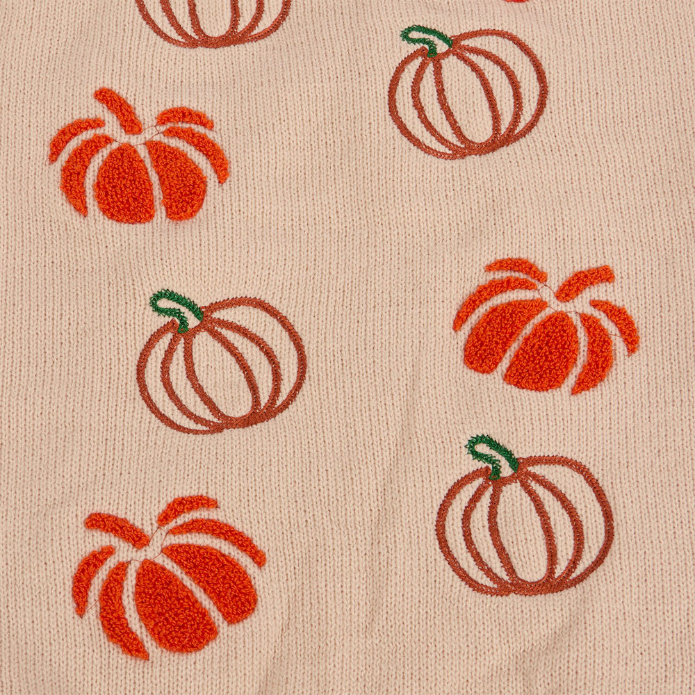 Pumpkin Dog Jumper Neutral S Image 4