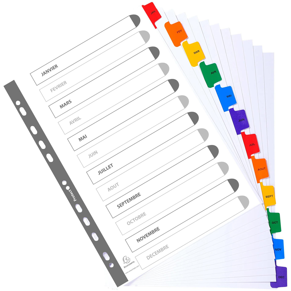 Exacompta A4 White January-December Monthly Index Divider with Multicolour Tabs 20 Pack Image 3