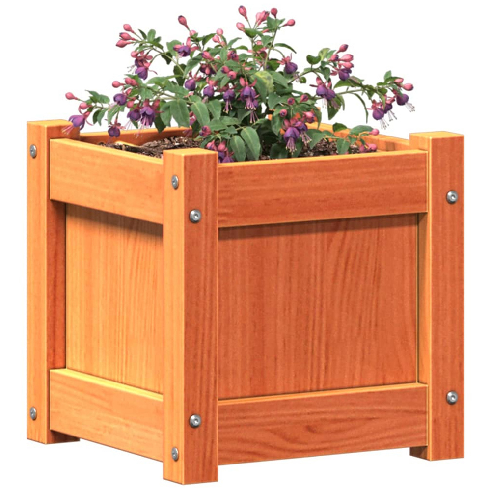 vidaXL Brown Solid Pine Wood Garden Planter 31 x 31 x 31cm 2 Pack Image 3