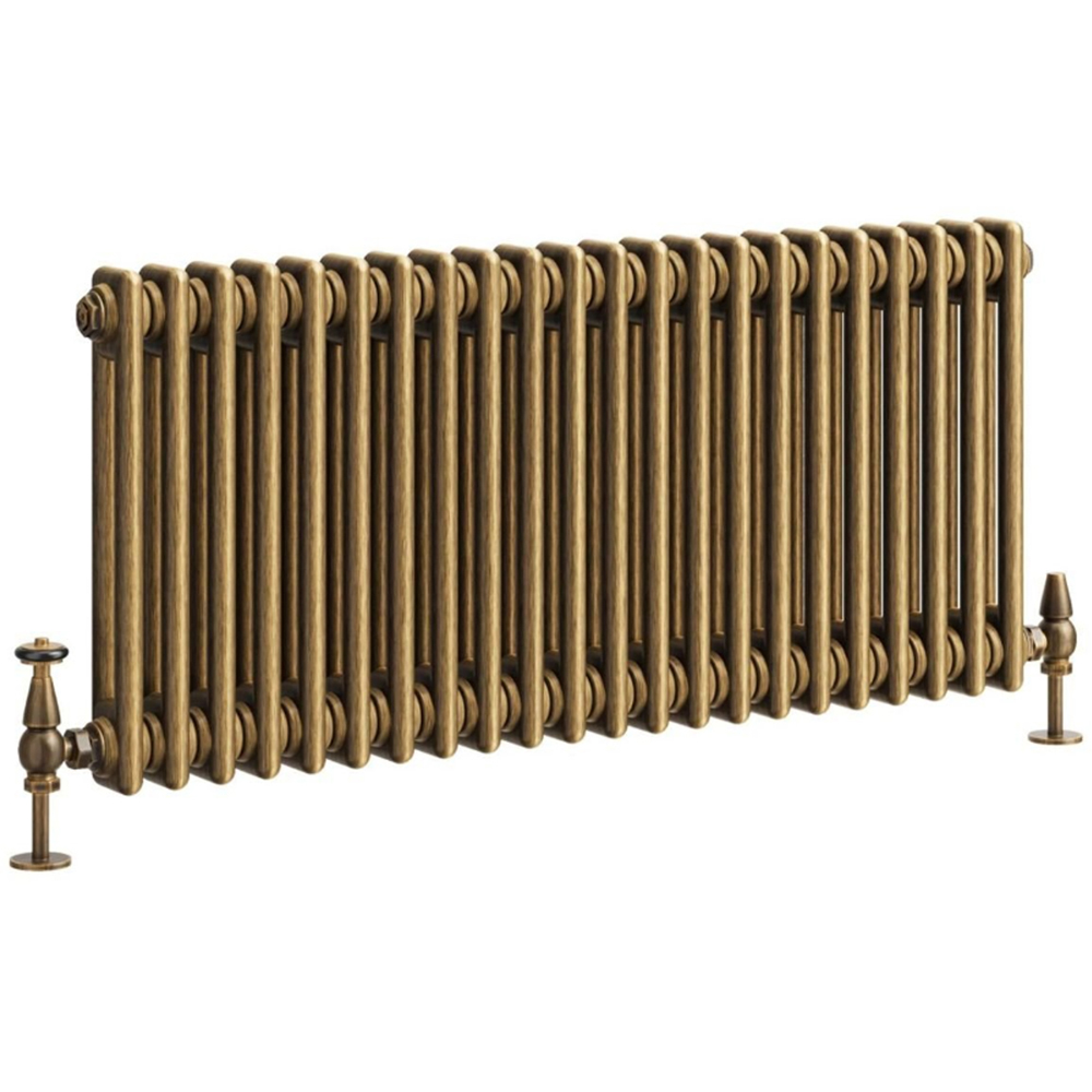 Go Bathrooms Clarence Antique Brass 2 Column Radiator 400 x 1010mm Image 1