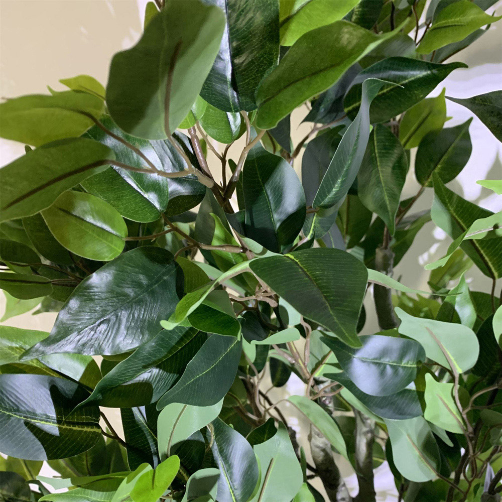 Leaf Premium Ficus Twist Artificial Plant in Multicolour Planter 100cm Image 4