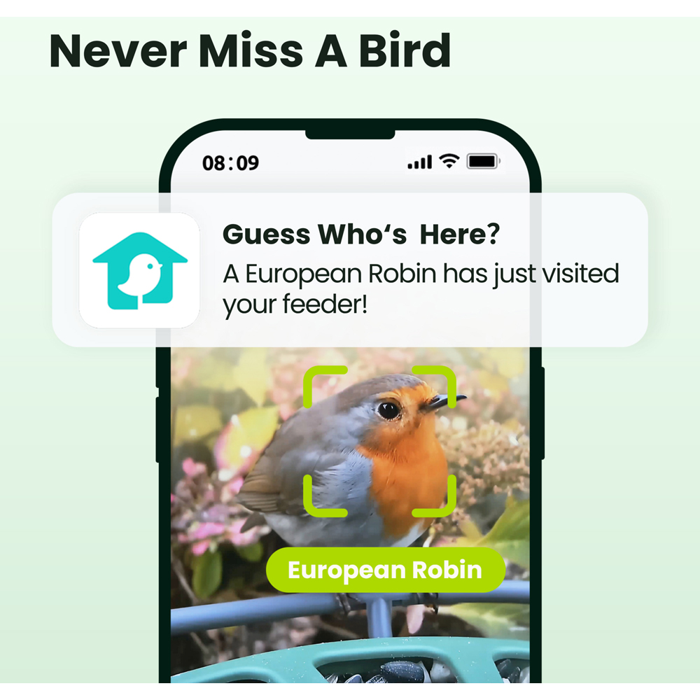 Birdfy 2 Pro Smart Solar Bird Feeder with AI Camera Image 5