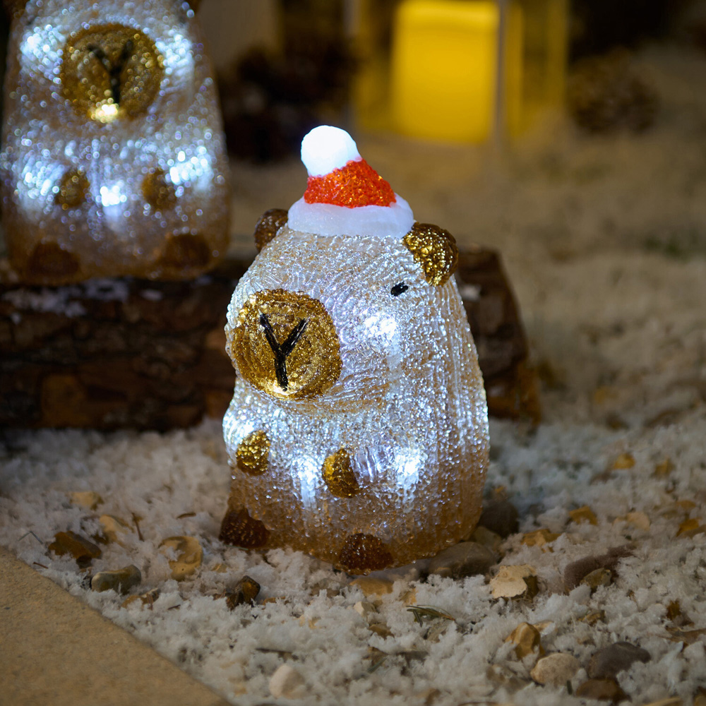 Pack of 4 Acrylic LED Capybaras Image 5