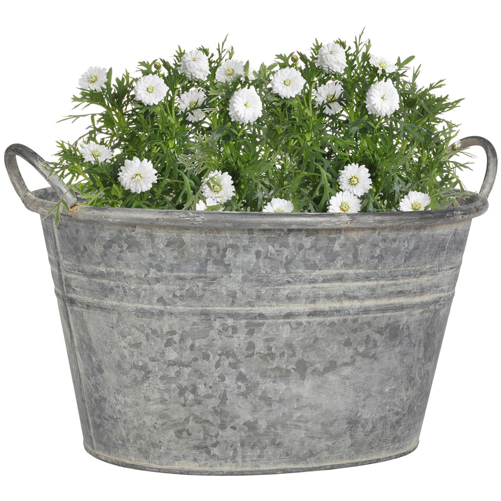 Dibor Galvanised Metal Tub Planter 23 x 35.5cm Image 1