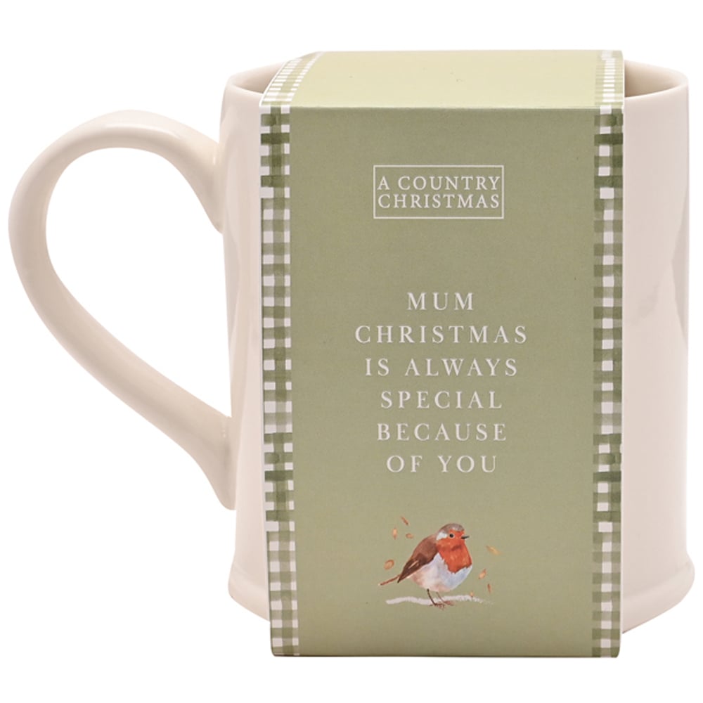 The Seasonal Gift Co. Robin Mum Mug Image 2