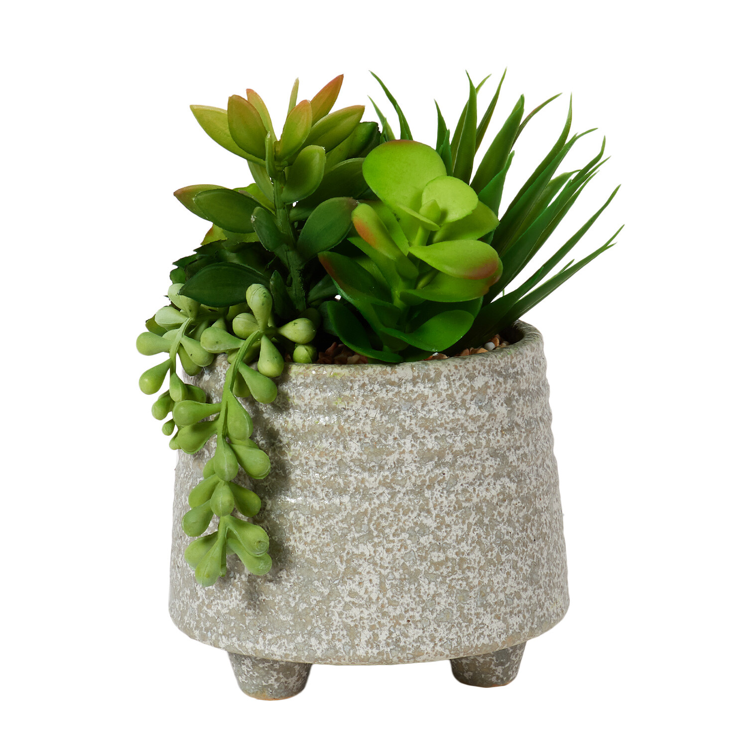 Succulent in Footed Pot - Grey Image 1