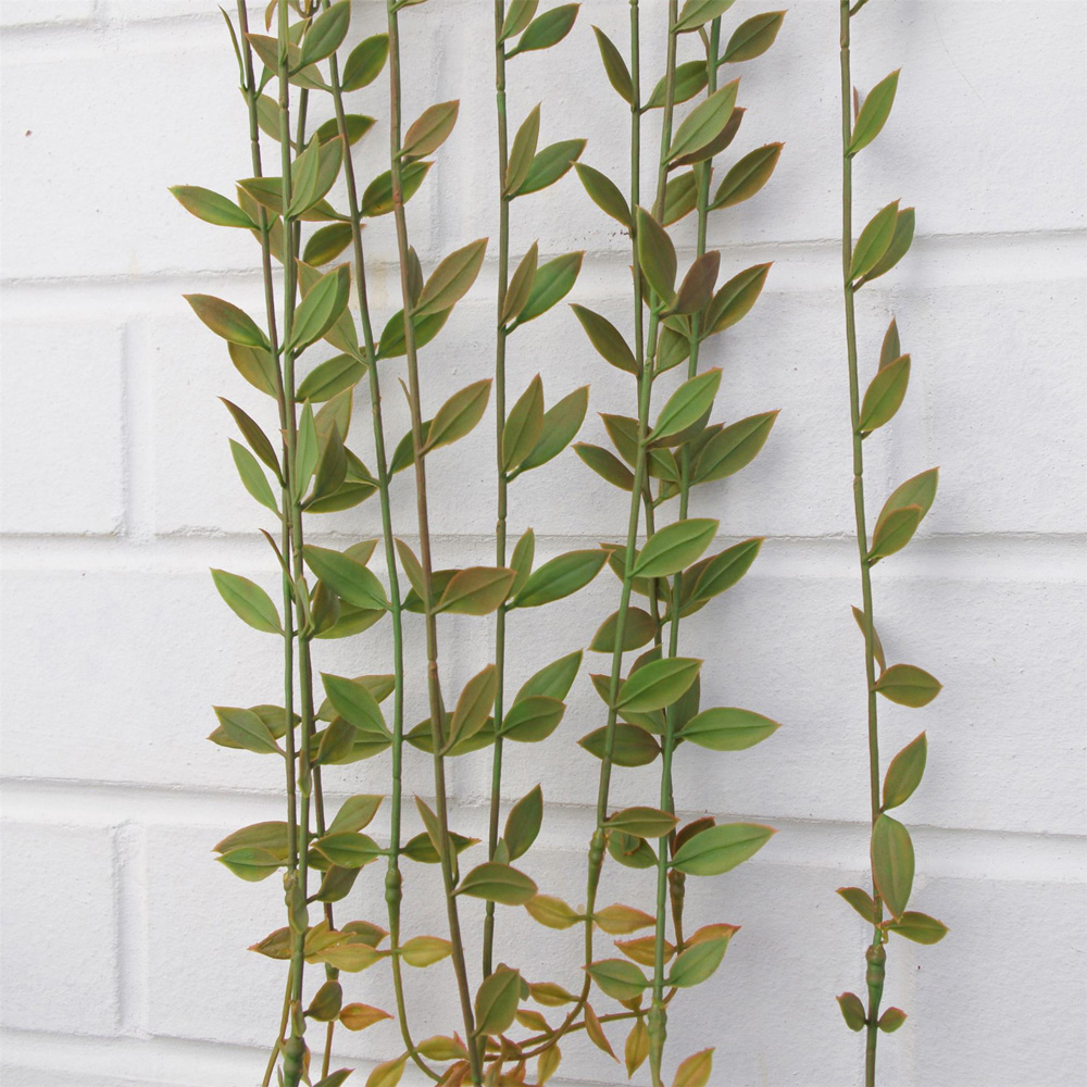 Leaf String of Pearls Hanging Artificial Plant 4ft 12 Pack Image 3
