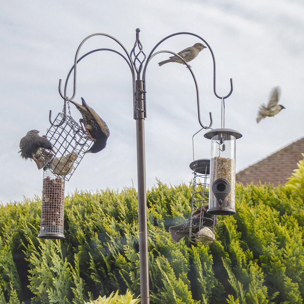Gardenkraft Metal Bird Feeding Station Image 5