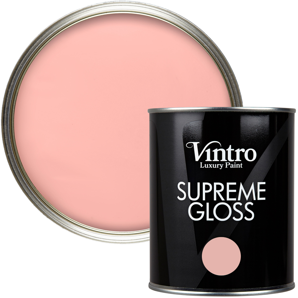 Vintro Paint Walls and Ceilings Dancing Salmon Gloss Paint 1L Image 1