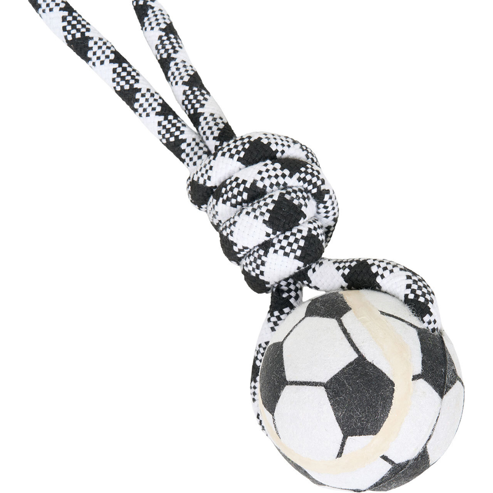 Plush Ball on a Rope Dog Toy Image 3