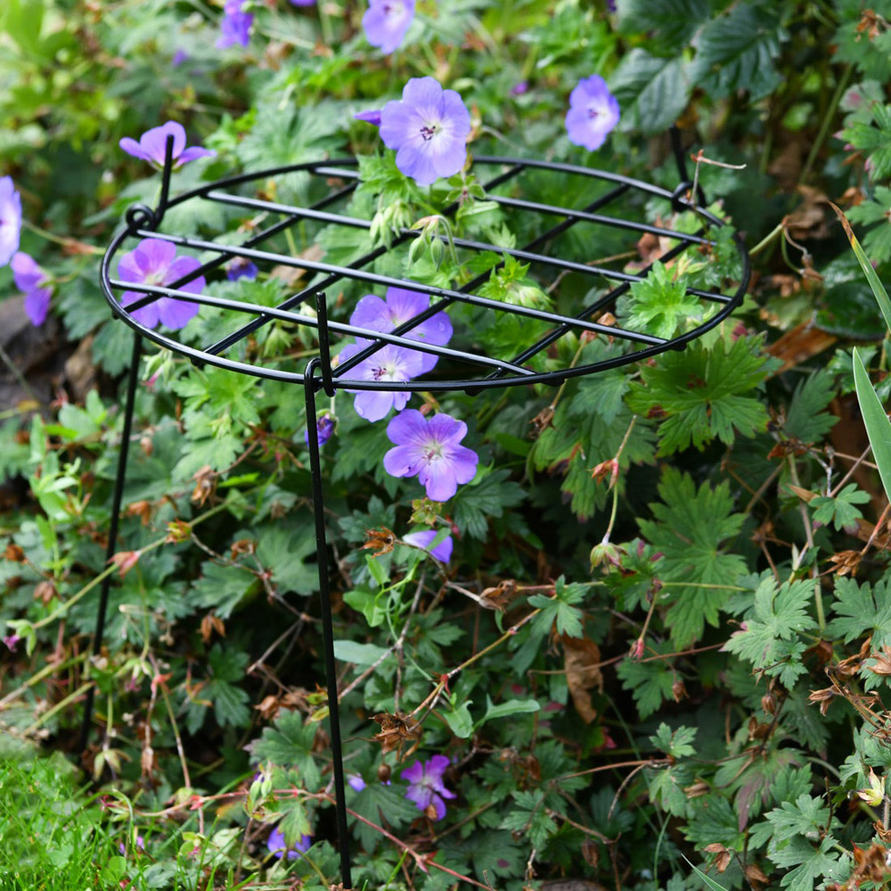 Garden Gear Medium Round Grow Through Grid Support 50cm 3 Pack Image 2