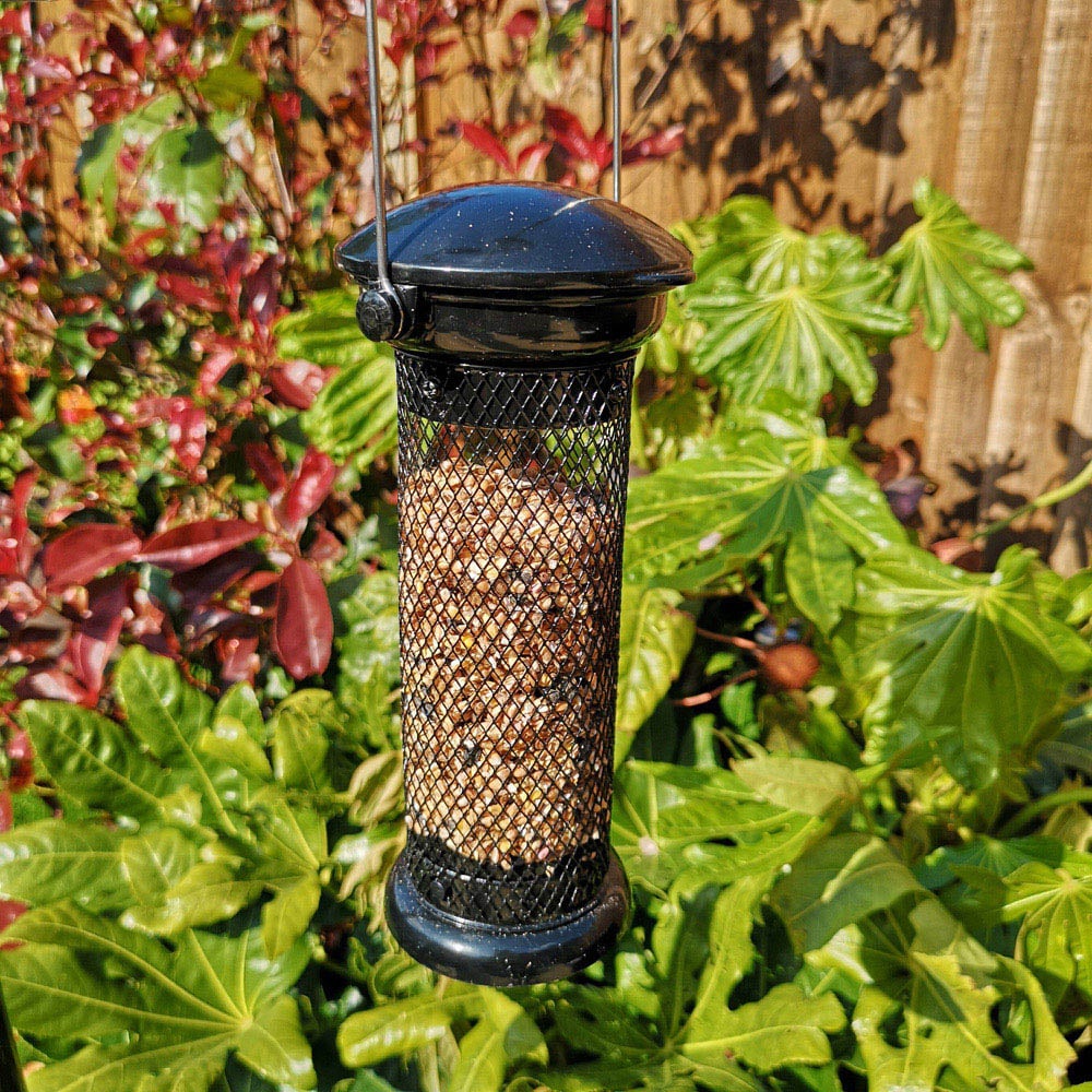 Tom Chambers Heavy Duty Flick and Click Wild Bird Sunflower Hearts Feeder Image 2