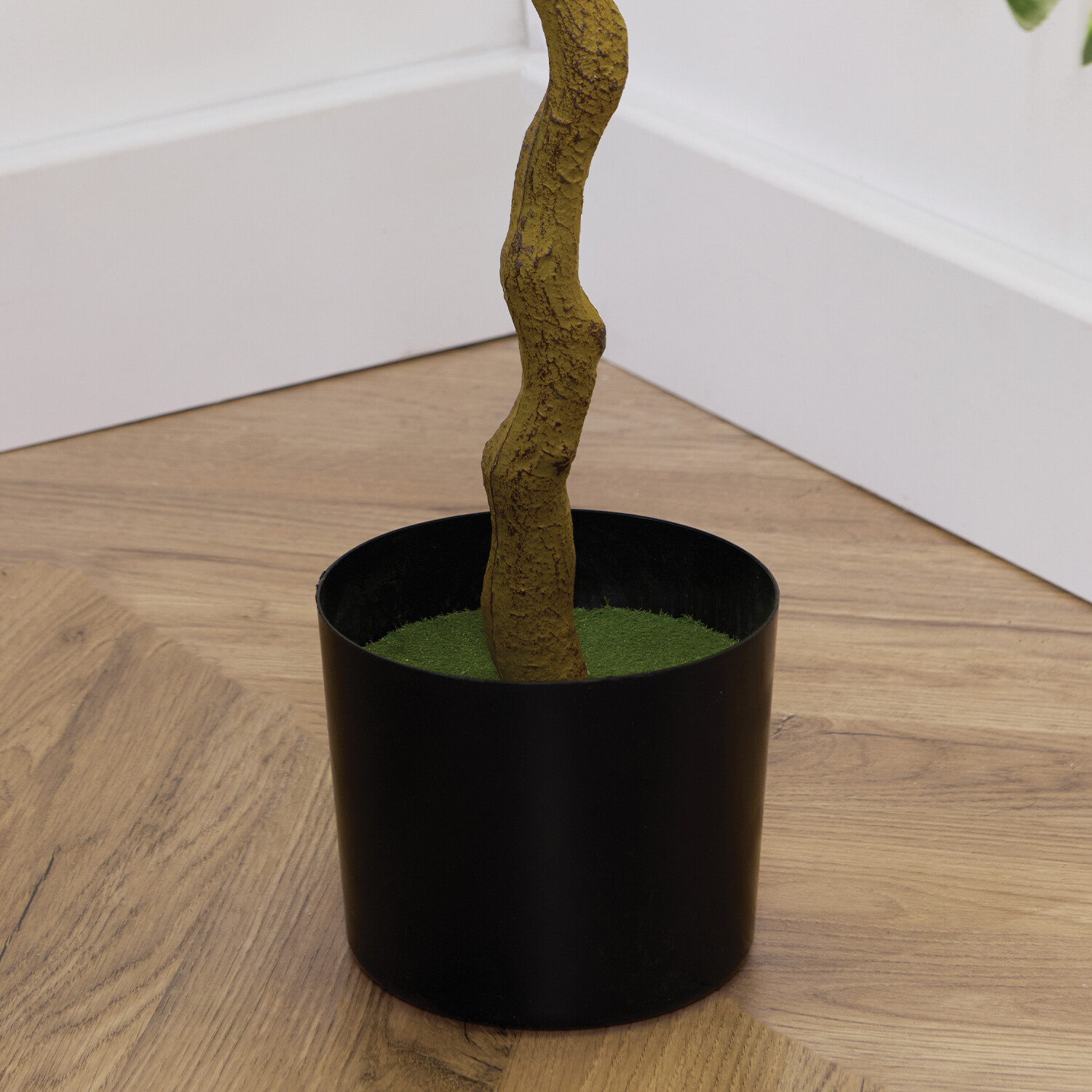 LED Orange Tree Green Image 7
