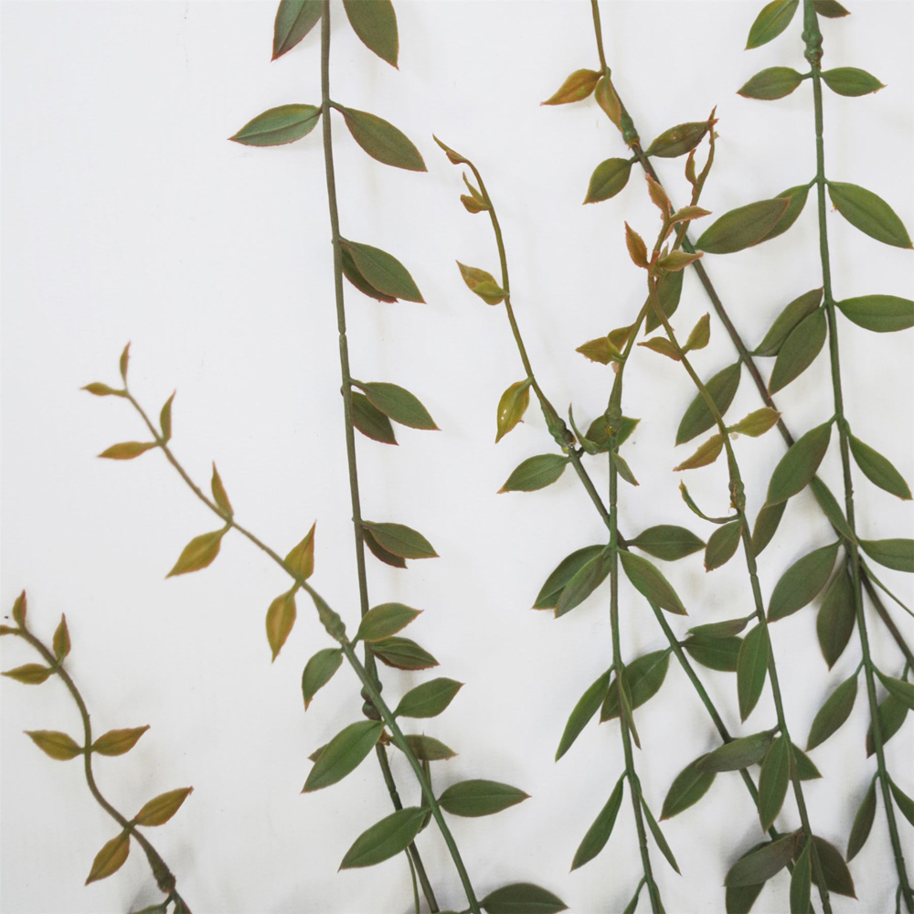 Leaf Fern Hanging Artificial Plant 4ft Image 4
