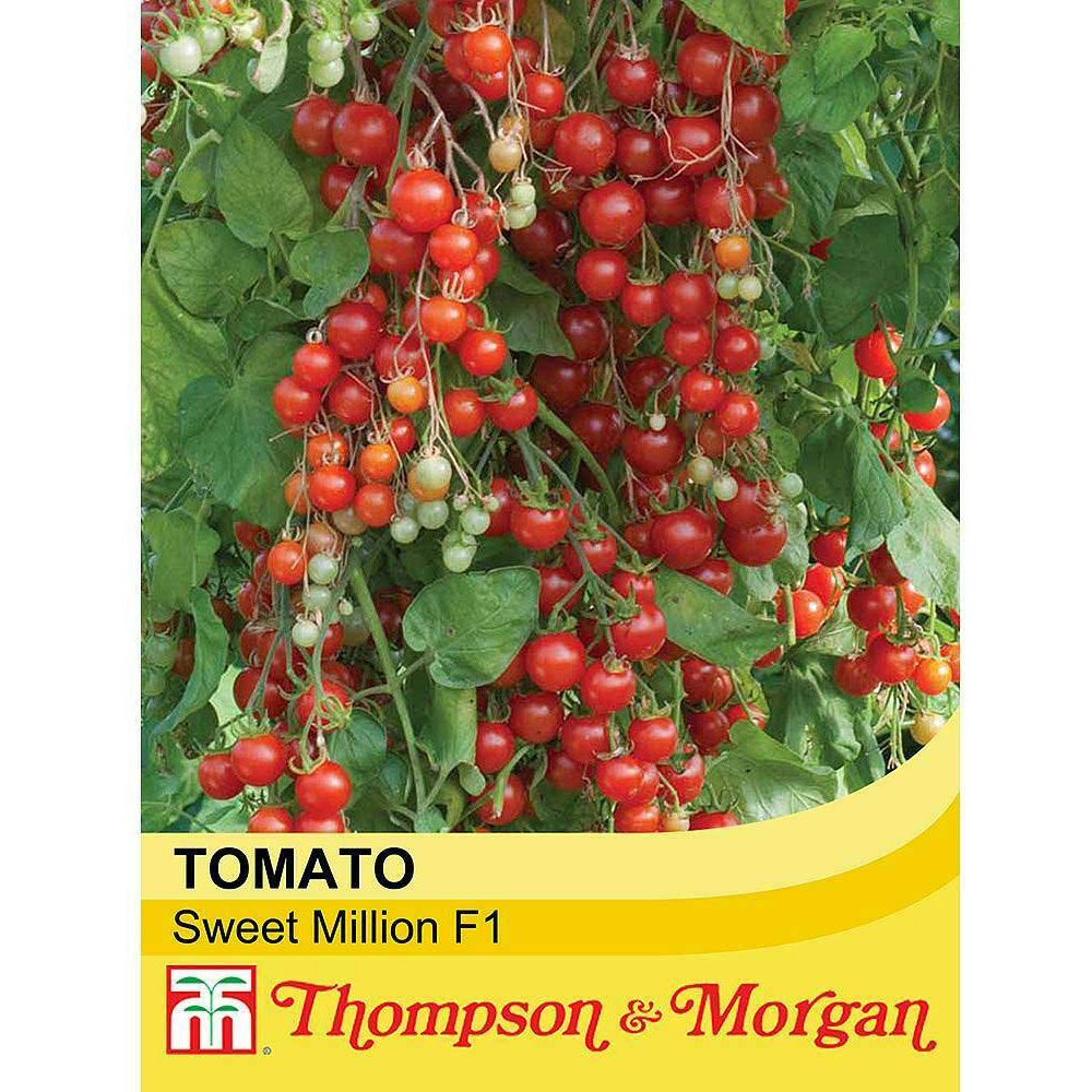 Thompson & Morgan F1 Hybrid Tomato Sweet Million Seed Packet Image 2