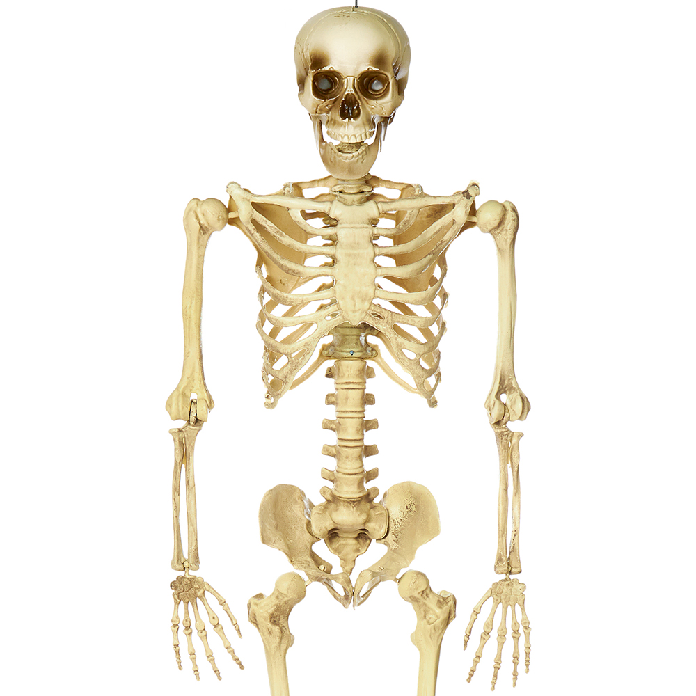 Premier Plastic Halloween Hanging Skeleton 5ft Image 2