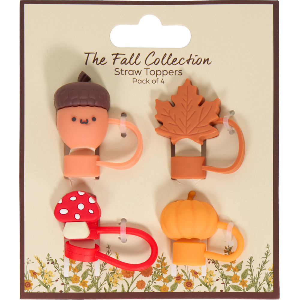 Pack of 4 Autumn or Halloween Straw Toppers Image 5