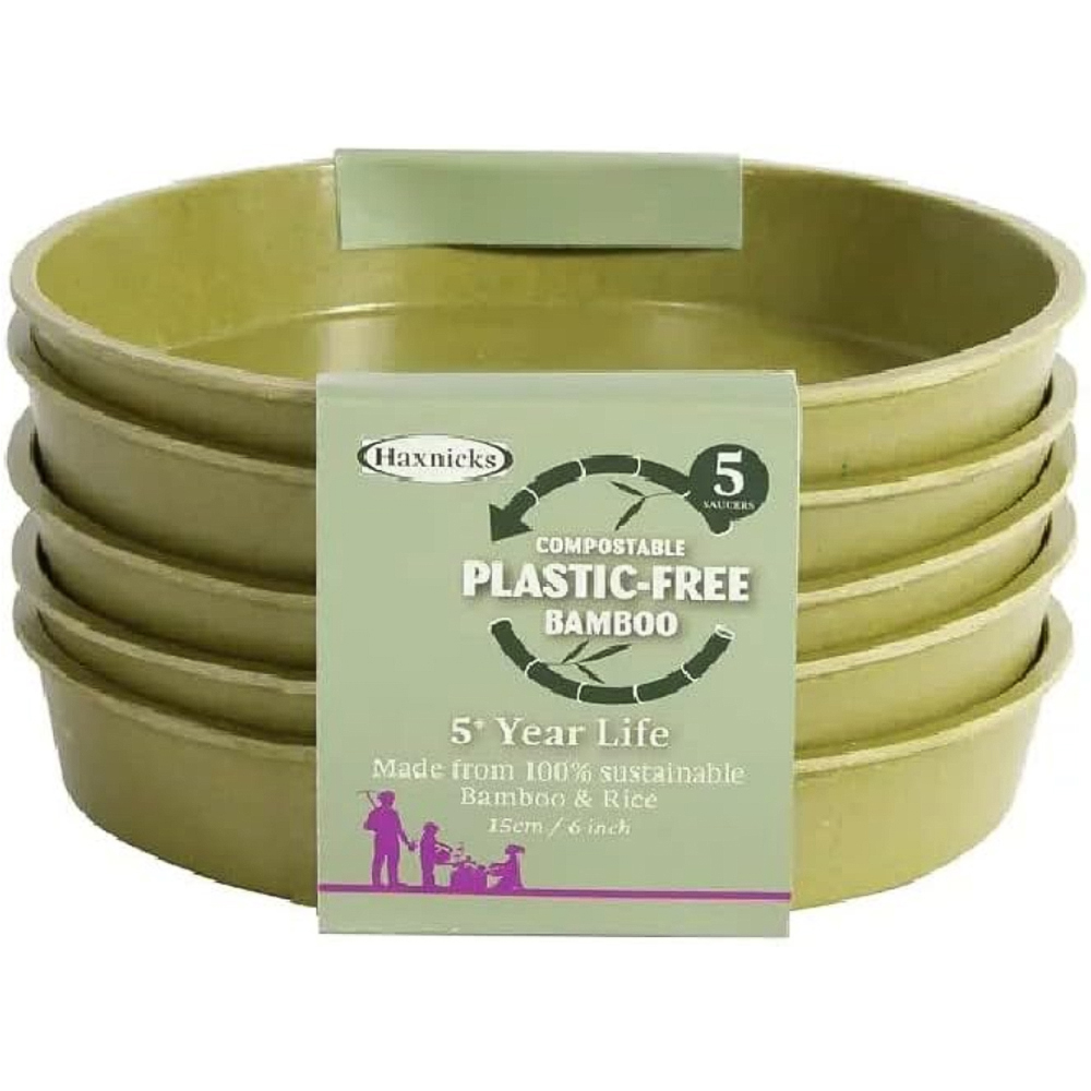 Garden Gear Sage Green Bamboo Pot with Saucer 15cm 5 Pack Image 4