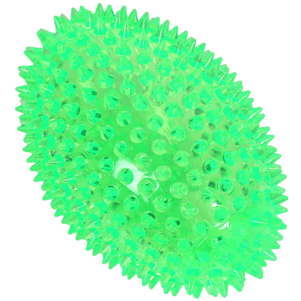 Single Squeaky Spiky Bone Dog Chew Toy in Assorted styles Image 6