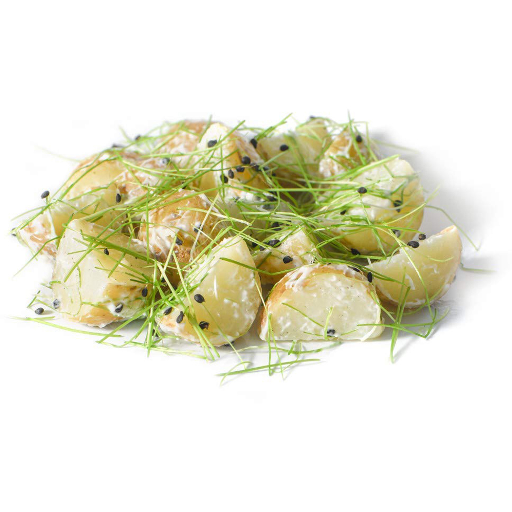 Thompson and Morgan Microgreens Chives Garlic Seeds Image 3