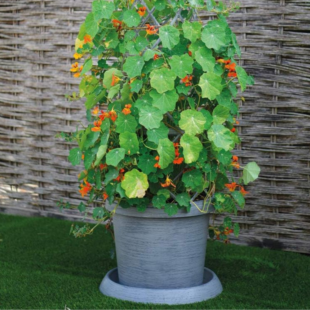 Garden Gear Modern Grey Tower Plant Pot Kit 5 Pack Image 2