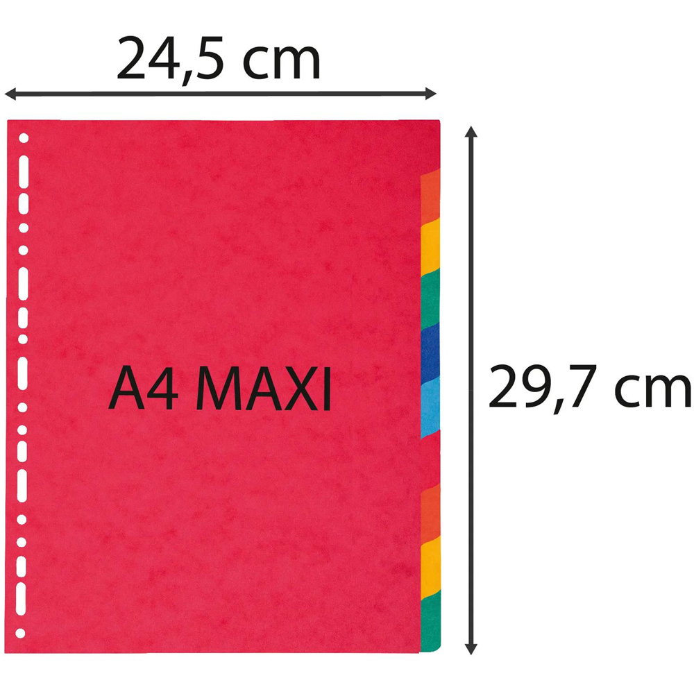 Exacompta A4 Maxi 10 Section Assorted Colour Polypropylene Lightweight Divider 10 Pack Image 3