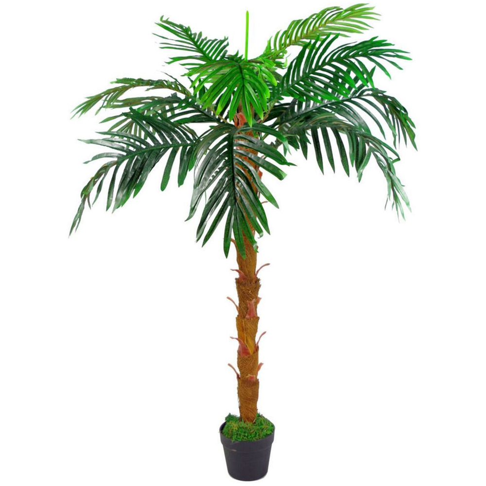 Leaf Princess Palm Artificial Tree Pot with Moss Covered Finish 4.2ft Image