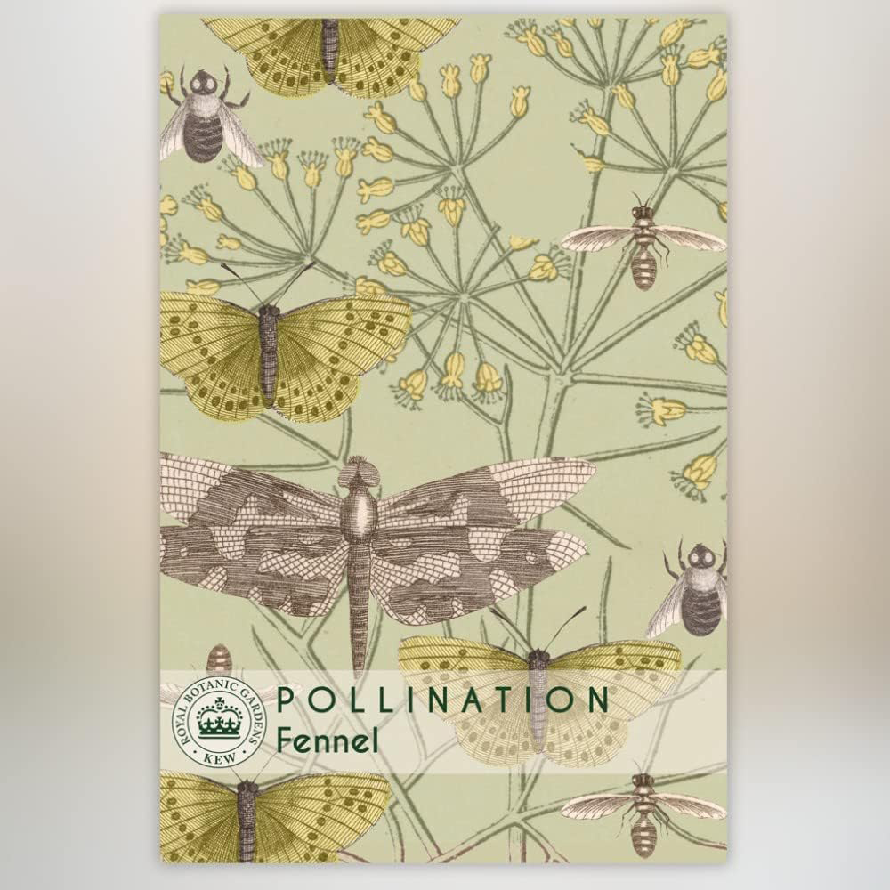 Thompson & Morgan Fennel Promo New Kew Range 250 Seeds Packet Image 2