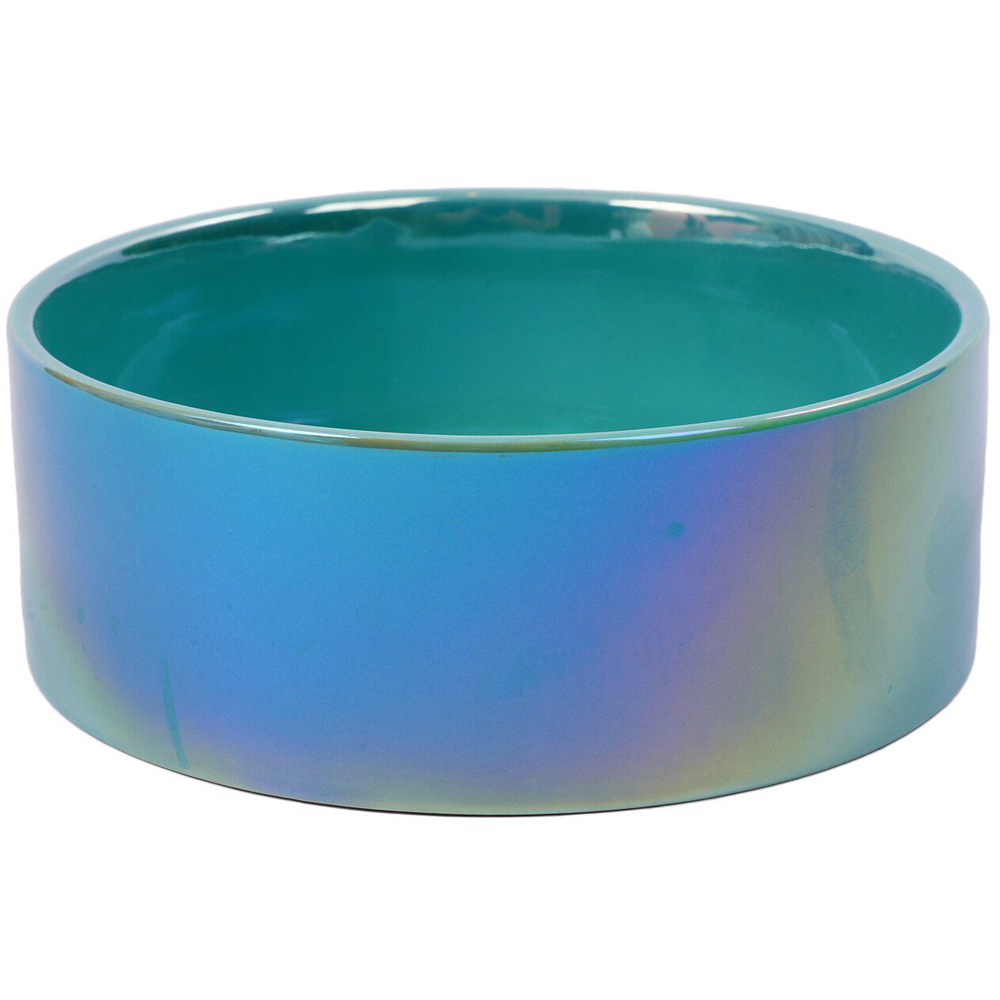 Iridescent Pet Bowl Image 2