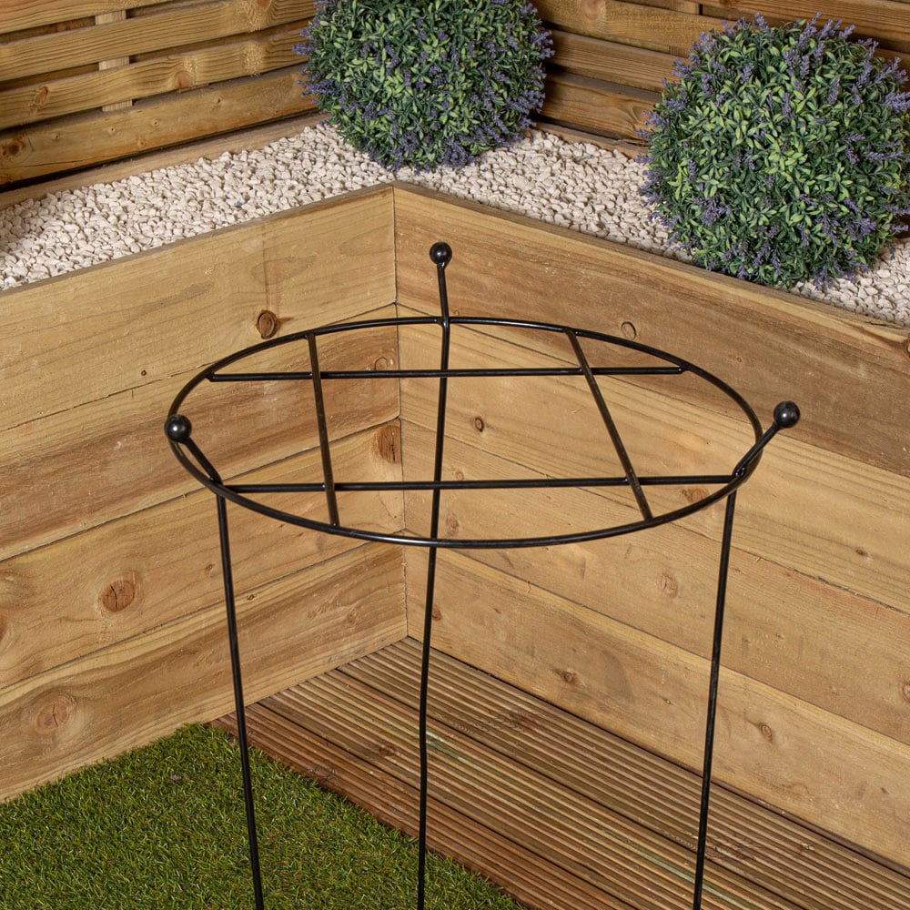 Tom Chambers Cottage Black Metal Steel Herbaceous Plant Support 80 x 45cm Image 7