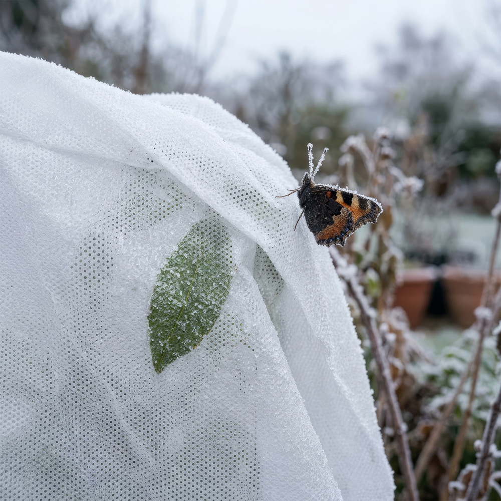 Harbour Housewares Plant Fleece Frost Protection Cover with Drawstring 1.2 x 1.8m 2 Pack Image 3