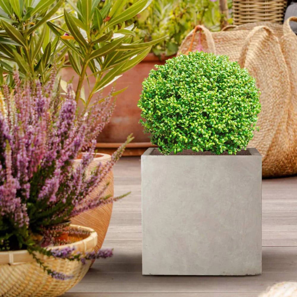 wilko Flower Box Square Grey Light Concrete Outdoor Planter 30cm Image 3