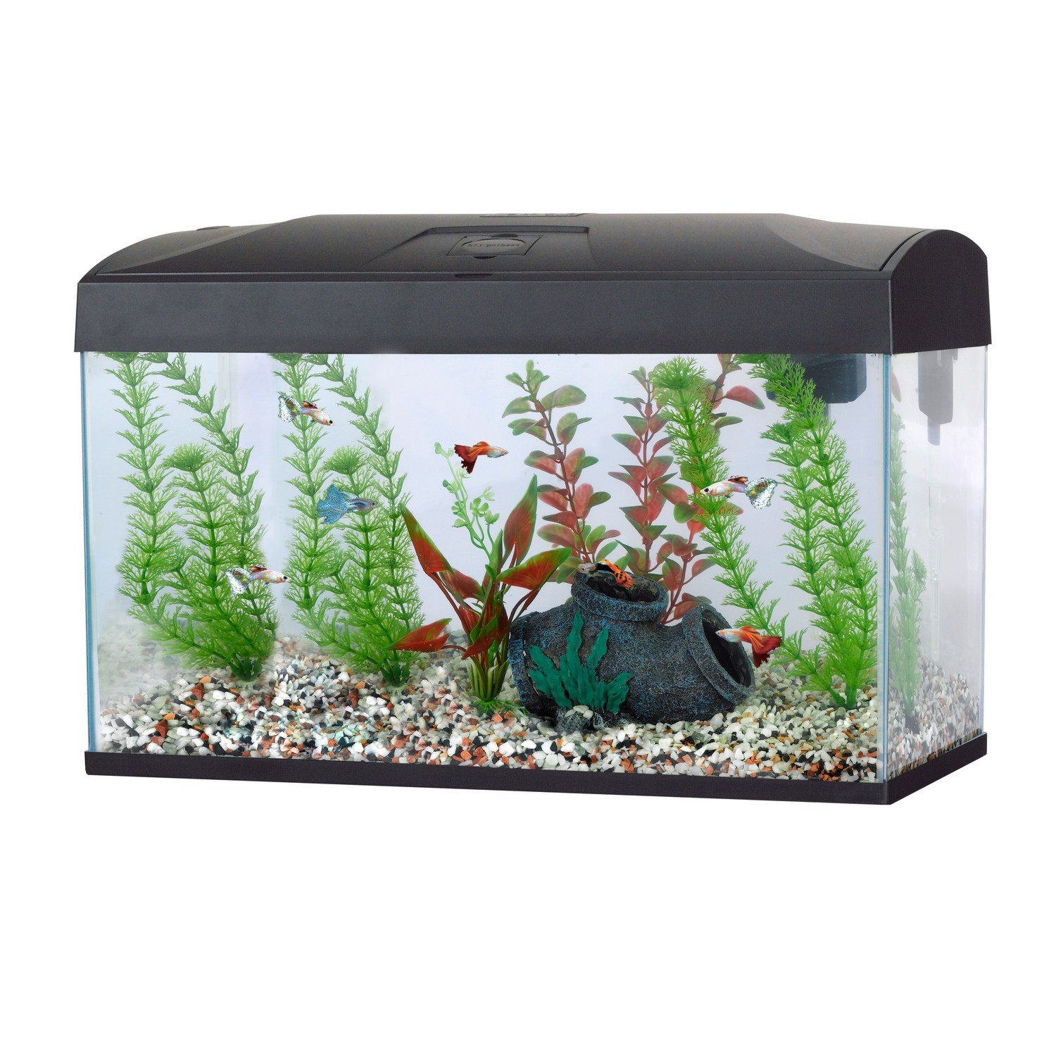 Fish R Fun Rectangular Tank 54 Litre - Black Image