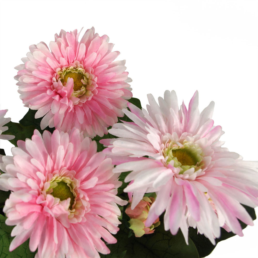 Leaf Pink Daisy Artificial Flower in Pot 33cm Image 2