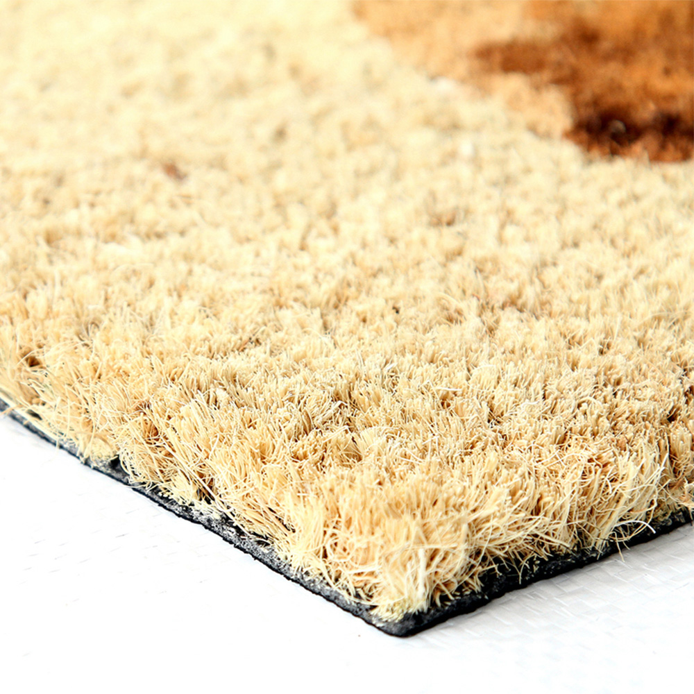 Coco & Coir Puppy Welcome Coir Door Mat 45 x 75cm Image 3