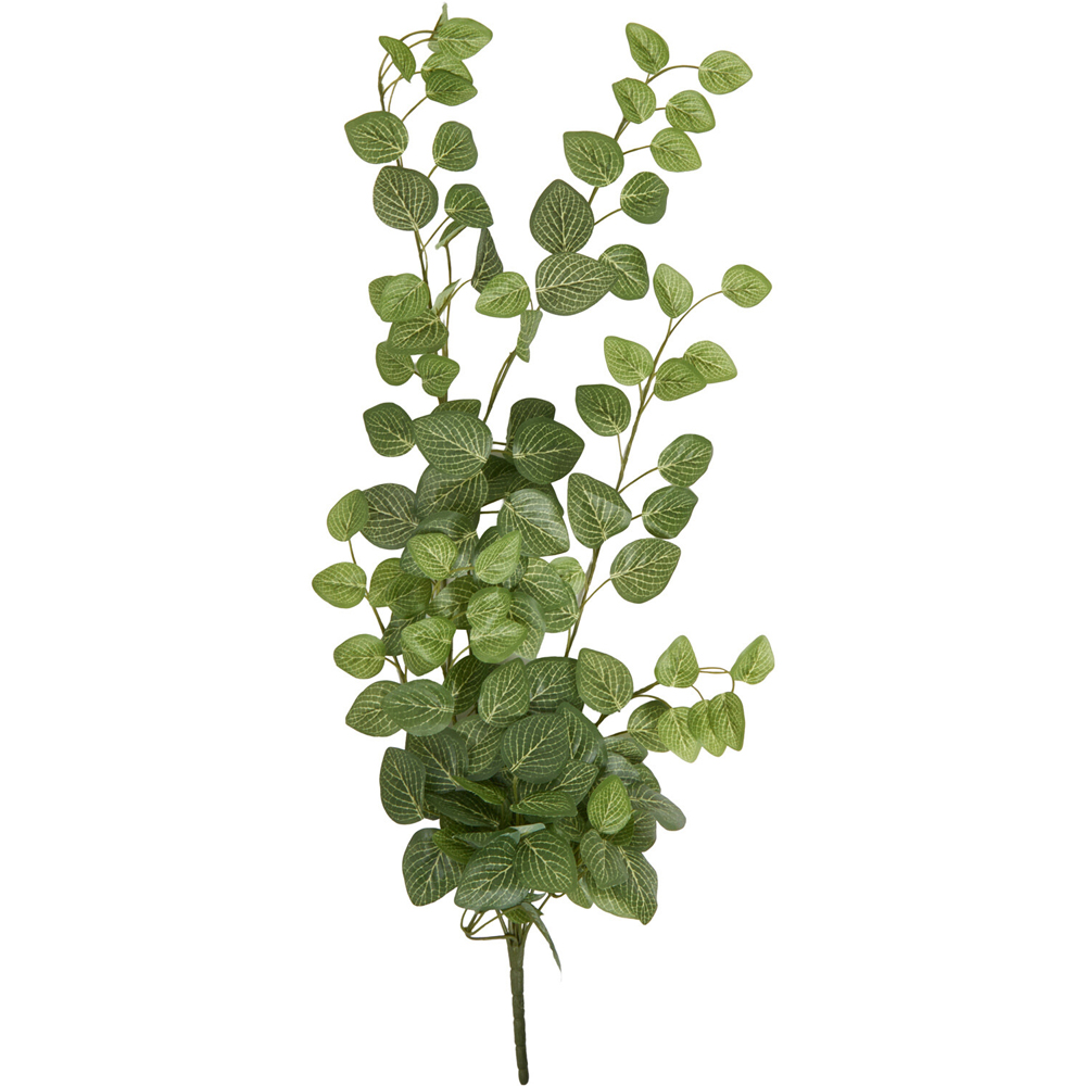 Hanging Fittona Artificial Plant Green Image 4