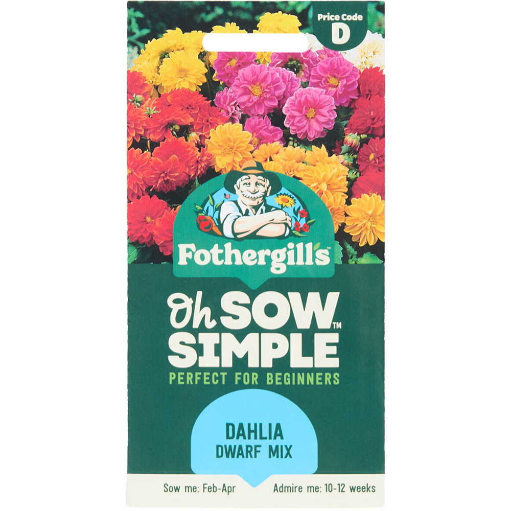 Dahlia Dwarf Mix Flower Seeds Image 1