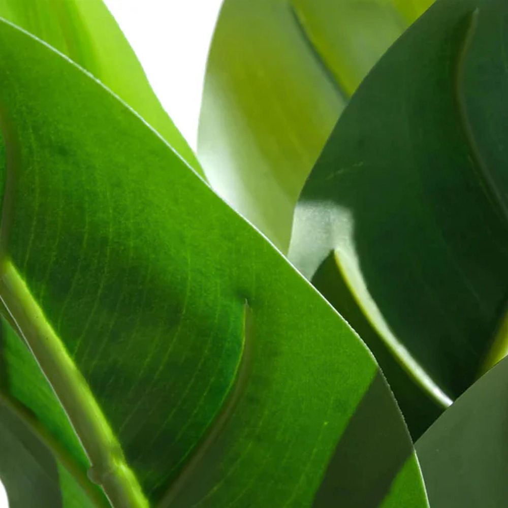 Leaf Aureum Artificial Plant in Pot 45cm Image 4