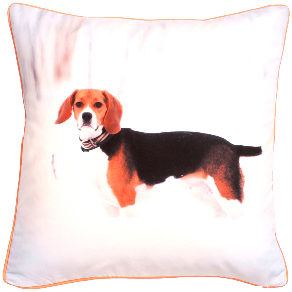 Velosso Ralph Printed Filled Cushion 43 x 43cm 2 Pack Image 1