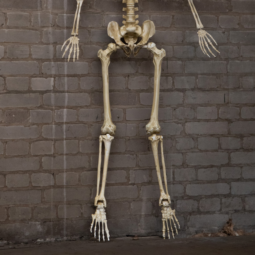 Samuel Alexander Light Up Posable Full Body Skeleton Halloween Decoration 5ft Image 9