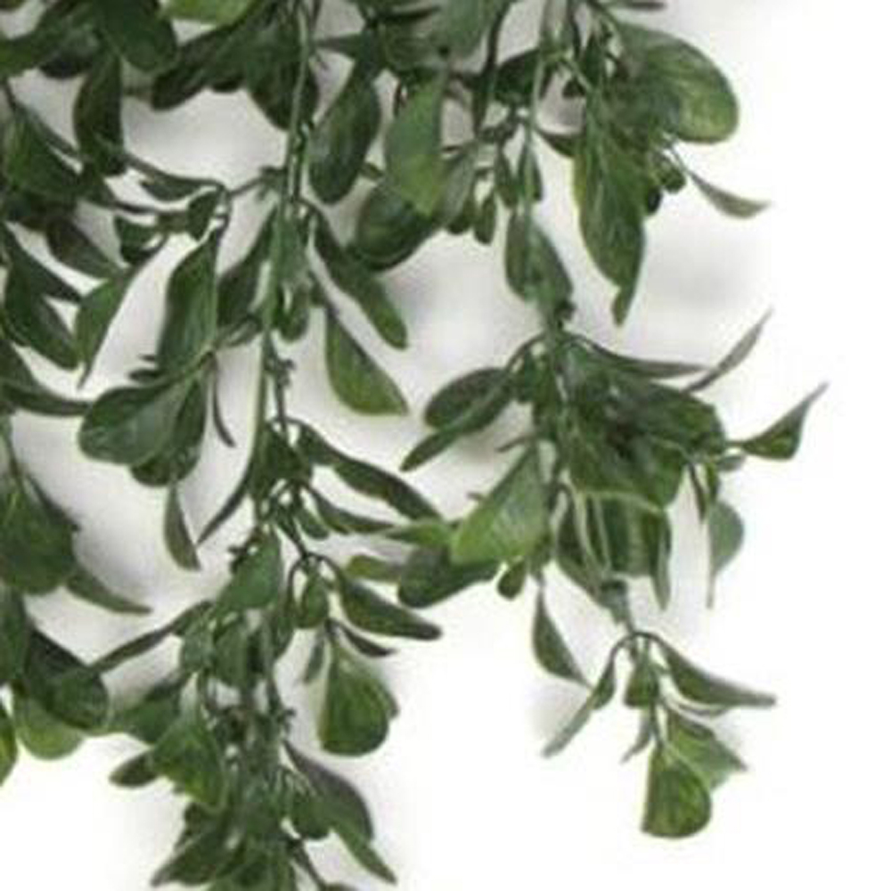 Leaf Peperomia Hanging Artificial Plant 2ft Image 3