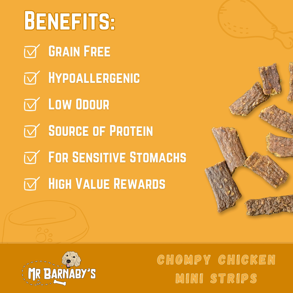 Mr Barnaby's Chompy Chicken Mini Strips Dog Treats 4 Pack Image 4