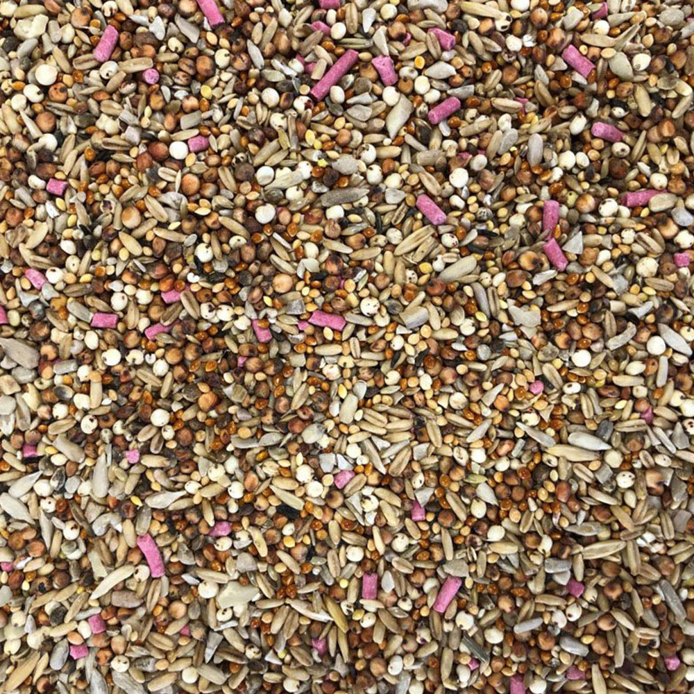 Bucktons Superior 12 Seed Blend 20kg Image 2