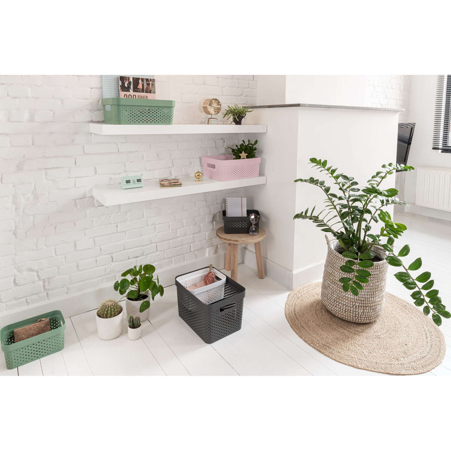 Curver Infinity Dots Storage Box   - Pink / 11l Image 4