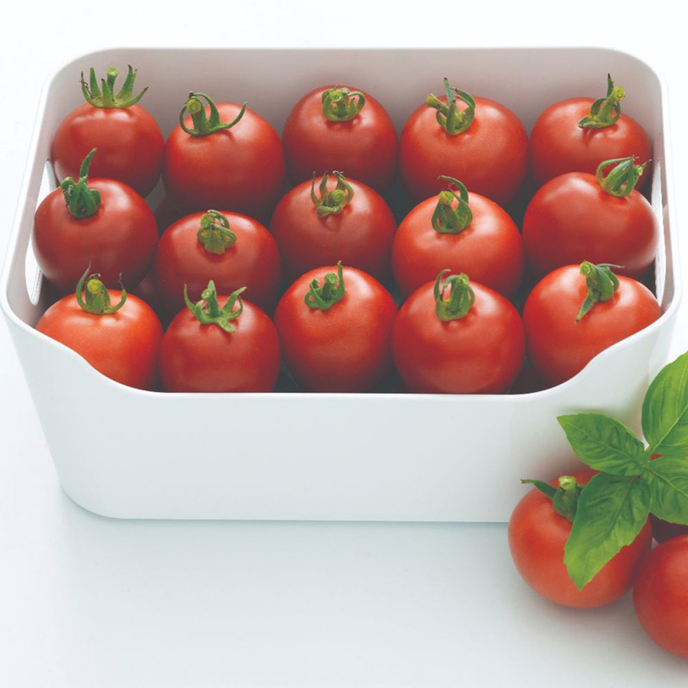 Thompson & Morgan Tomato Alicante Peat Free Plug Plant 3 Pack Image 3