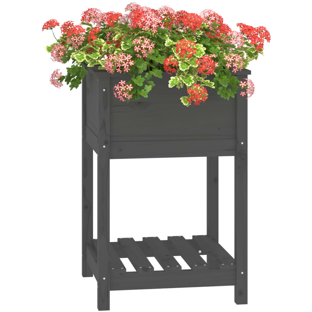 vidaXL Single Shelf Grey Solid Pine Wood Garden Planter 81 x 56 x 54cm Image 3
