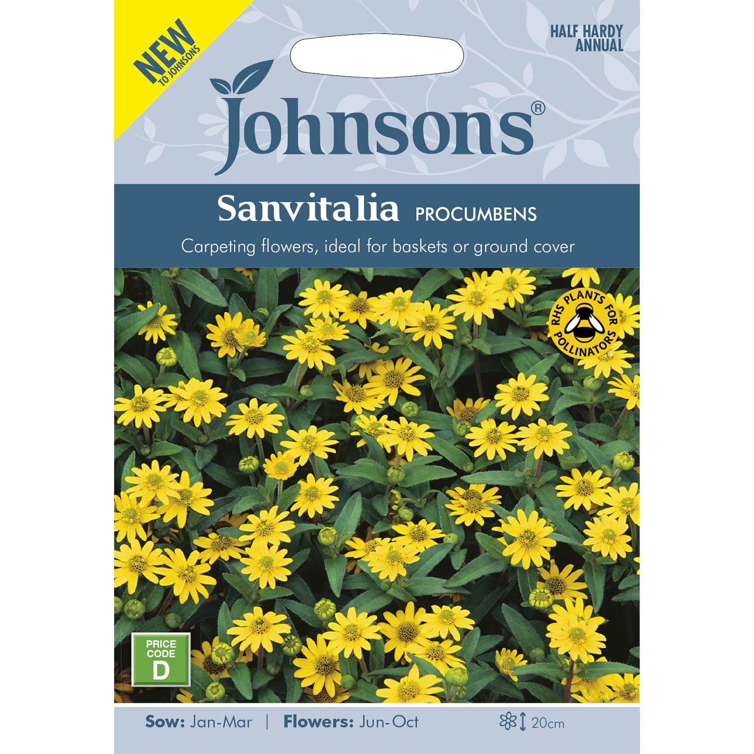 Johnsons Sanvitalia Procumbens Flower Seeds Image 2