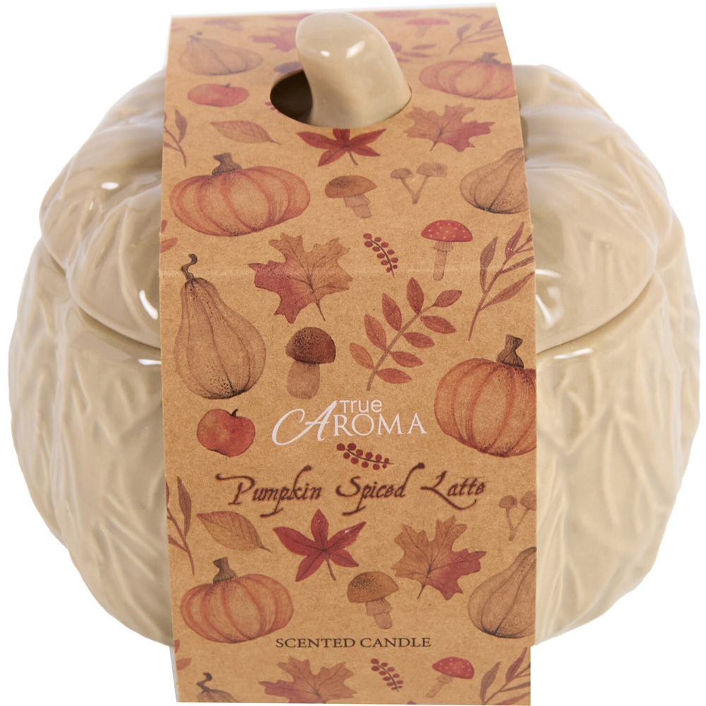 Large Ceramic Pumpkin Shaped Candle Image 2