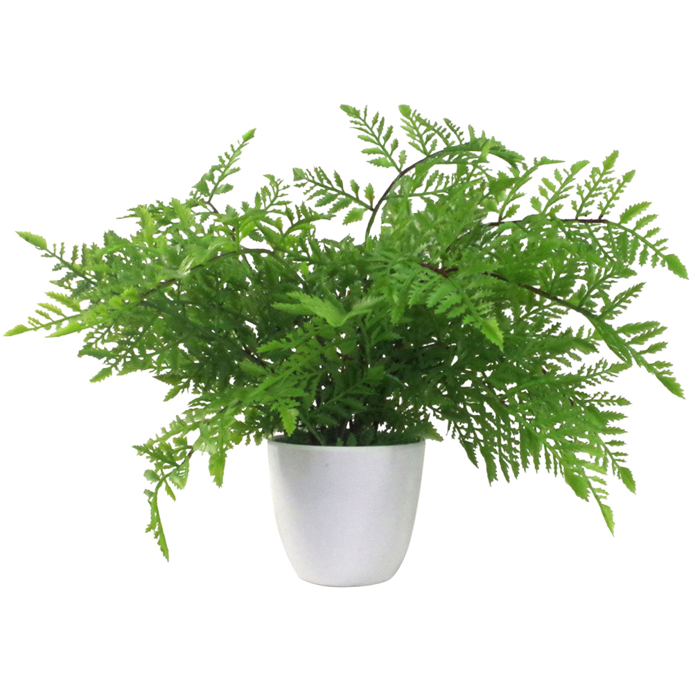 Leaf Southern Wood Fern Artificial Plant Pot 30cm Image 1